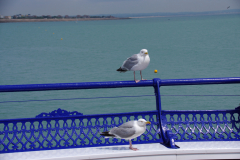 The Owners Of Eastbourne Pier