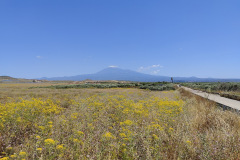 IMG20250519121522