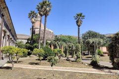 IMG20250519154107