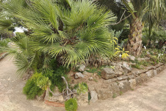 IMG20250520133721