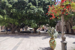 IMG20250521144033
