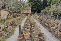 IMG20250523100226