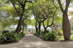 IMG20250523104636