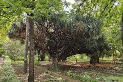 IMG20250523110355