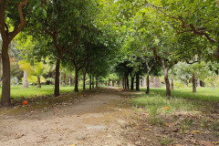 IMG20250523113800